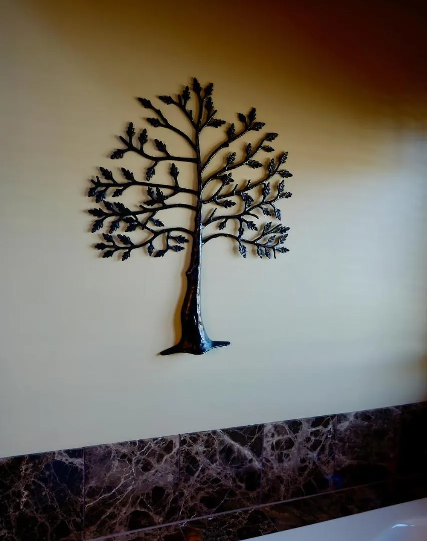 Sumas Mountain Lodge 2*,